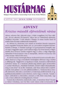 Mustármag 2016/6