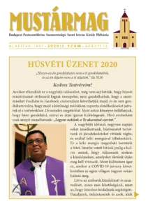 Mustármag 2020/2
